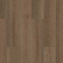 Shaw Floors Resilient Residential Infinite SPC Raw Sienna 00825_3100V