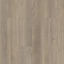 Shaw Floors Resilient Residential Infinite SPC Salt River 02028_3100V