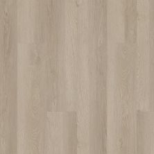 Shaw Floors Resilient Residential Infinite SPC Pampas 02029_3100V
