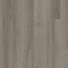 Shaw Floors Resilient Residential Infinite SPC Drift 05100_3100V