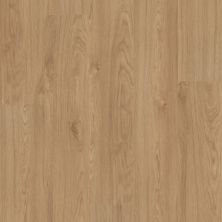 Shaw Floors Resilient Residential Infinite SPC Honeycomb 06040_3100V