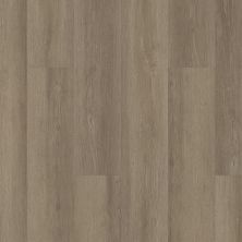 Shaw Floors Resilient Residential Infinite SPC Vista 07192_3100V