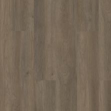 Shaw Floors Resilient Residential Infinite SPC Raconteur 07195_3100V