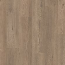 Shaw Floors Resilient Residential Paragon Hd+natural Bevel Winthrop 05259_3038V