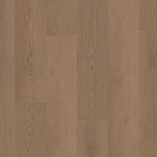 Shaw Floors Resilient Residential Paragon Hd+natural Bevel Rutledge 07353_3038V