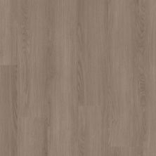 Shaw Floors Resilient Residential PATHWAYS 6 Timber 02130_3550V