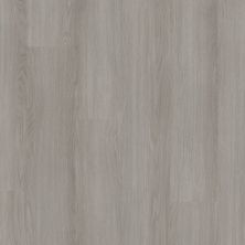 Shaw Floors Resilient Residential PATHWAYS 6 Storm 05264_3550V