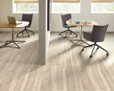 5th And Main Symbiotic 5.0 Nova