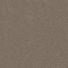 Shaw Floors Value Collections Va107 Moccasin 00714_VA107