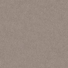 Shaw Floors Value Collections Va107 Khaki 00722_VA107