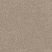Shaw Floors Value Collections Va108 Cork Board 00711_VA108