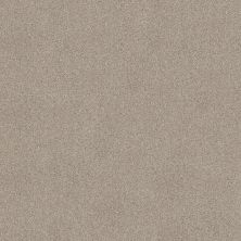 Shaw Floors Va110 Wt Catnip