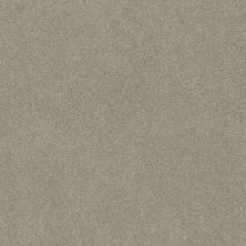 Shaw Floors Va110 Wt Frosted Ice