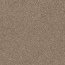 Shaw Floors Va110 Wt Sombrero