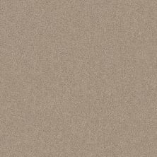 Shaw Floors Va110 Wt Cork Board