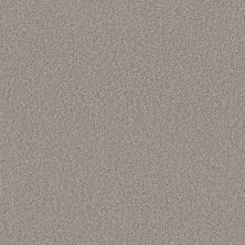 Shaw Floors Va110 Wt Tempting Taupe