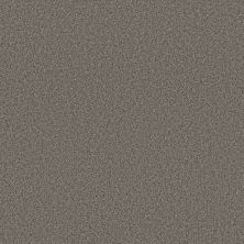 Shaw Floors Va110 Wt Weathered Siding