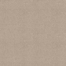 Shaw Floors Va111 Wt Scone