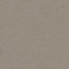 Shaw Floors Va111 Wt Frosted Ice