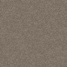 Shaw Floors Pet Perfect Va124 Soft Sense