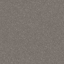 Shaw Floors Pet Perfect Va134 Net Vintage 00509_VA134