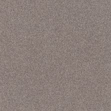 Shaw Floors Value Collections Va138 Net Stainless 00508_VA138