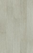 Shaw Floors Resilient Property Solutions Downtown 8mil Sweet Auburn 00116_VE167