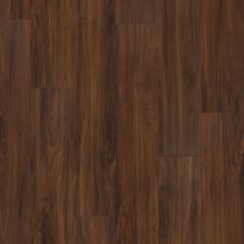 Shaw Floors Resilient Property Solutions Foundation Plank Deep Mahogany 00703_VE180