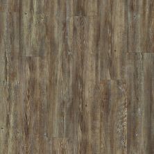 Shaw Floors Resilient Property Solutions Foundation Plank Tattered Barnboard 00717_VE180