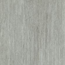 Shaw Floors Resilient Property Solutions Downtown Usa12 Hamilton Ave 00559_VE221