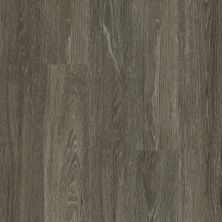 Shaw Floors Resilient Property Solutions Downtown Usa12 Michigan Ave 00564_VE221