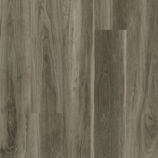 Shaw Floors Resilient Property Solutions Downtown Usa12 Beaumont Street 00568_VE221