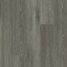 Shaw Floors Resilient Property Solutions Downtown Usa12 King Street 00572_VE221