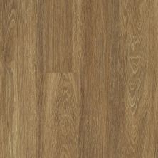 Shaw Floors Resilient Property Solutions Downtown USA 20 Rush St 00684_VE222