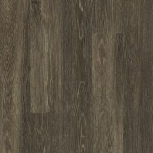 Shaw Floors Resilient Property Solutions Downtown USA 20 Lakeshore Dr 00774_VE222