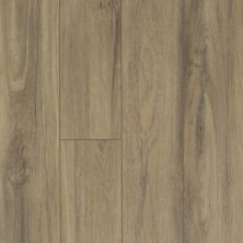 Shaw Floors Resilient Property Solutions Supino HD Plus Fiano 00587_VE231