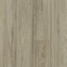 Shaw Floors Resilient Property Solutions Supino HD Plus Pisa 01027_VE231