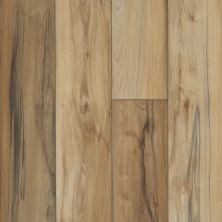 Shaw Floors Resilient Property Solutions Colossus HD + Imperial Beech 00185_VE243