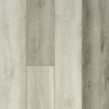 Shaw Floors Resilient Property Solutions Colossus HD Plus Modern Oak 05037_VE243