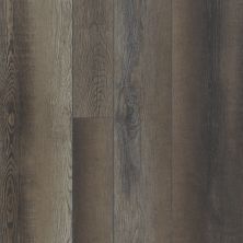 Shaw Floors Resilient Property Solutions Resolute Mix Plus Blackfill Oak 00909_VE279