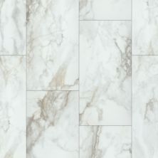 Shaw Floors Resilient Property Solutions Urban Organics Calacatta 01100_VE280
