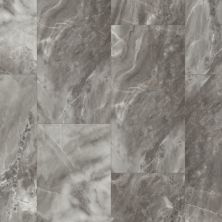 Shaw Floors Resilient Property Solutions Urban Organics Obsidian 05134_VE280