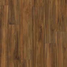 Shaw Floors Resilient Property Solutions Presto Plus Burmese Teak 00604_VE284