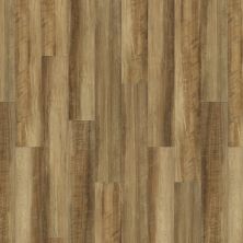 Shaw Floors Resilient Property Solutions Como Plus Plank Malta 00203_VE370
