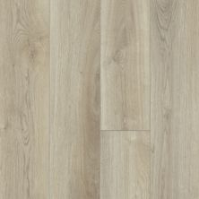 Shaw Floors Resilient Property Solutions Prominence Plus French Oak 00257_VE381