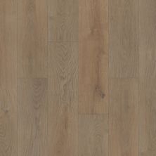 Shaw Floors Resilient Property Solutions Prominence Plus Crafted Oak 01089_VE381