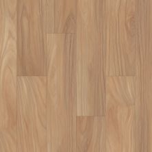 Shaw Floors Resilient Property Solutions Prominence Plus Natural Acacia 01093_VE381