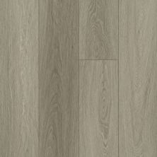 Shaw Floors Resilient Property Solutions Prominence Plus Executive Oak 05079_VE381