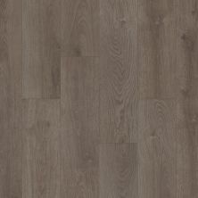Shaw Floors Resilient Property Solutions Prominence Plus Waxed Oak 05128_VE381