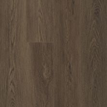 Shaw Floors Resilient Property Solutions Prominence Plus Barrel Oak 07066_VE381